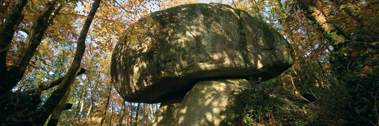 Chambre D'Hotes De La Roche Tremblante Huelgoat Eksteriør billede